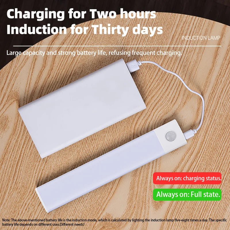 Motion Sensor LED Night Light Lamp